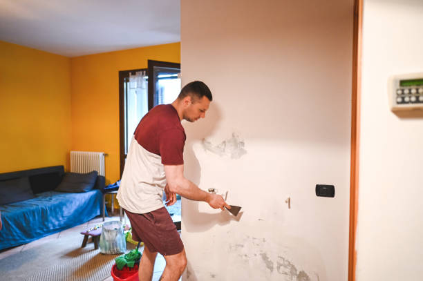 Best Mold Removal Specialists  in Nokomis, IL
